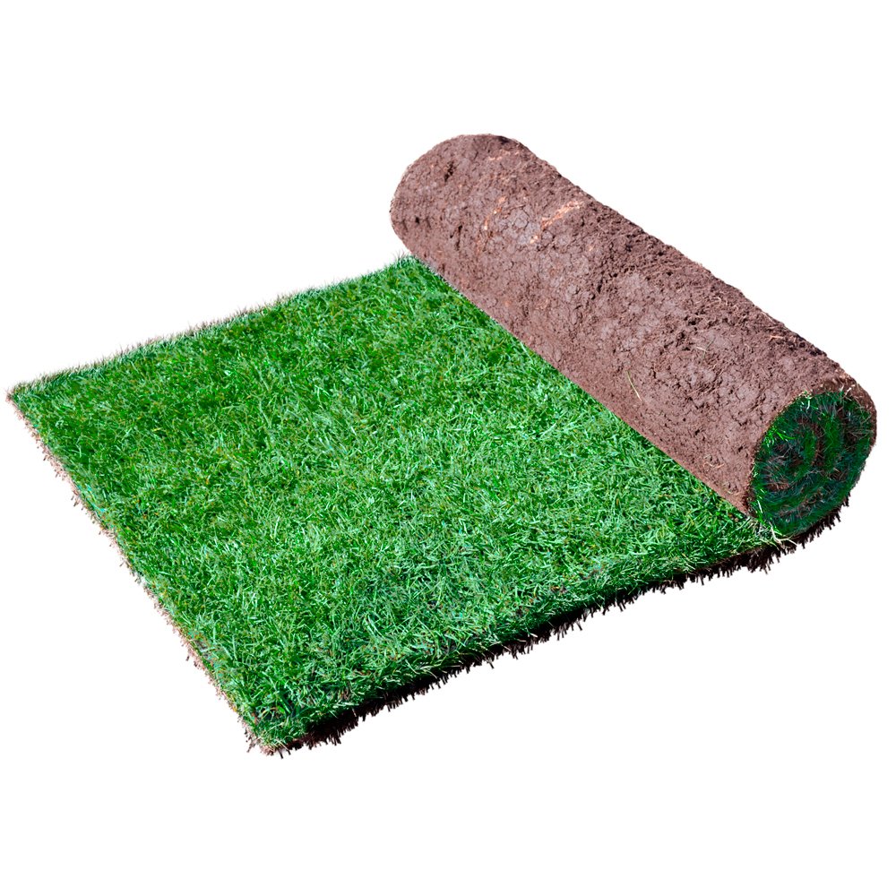 Harrowden Turf Premium Lawn Turf - 40 Rolls (40m²)