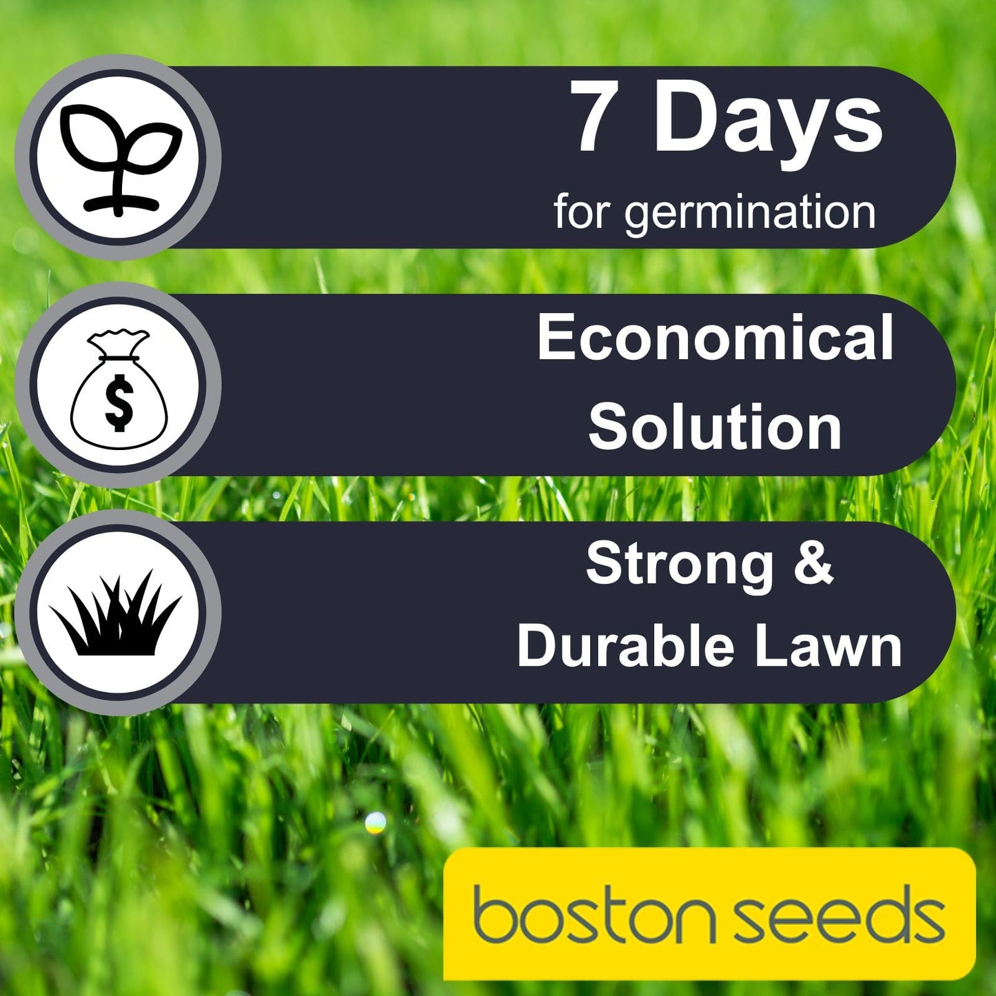 Boston Seeds Fast Growing Grass Seed - Hard Wearing Grass Seeds in Various Weights. Rapid Germination Seeds for Lawns & Landscapes (Eco - 20Kilogram)