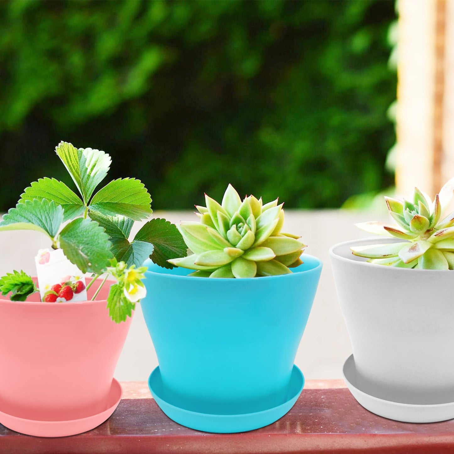 WAIZHIUA 8Pcs 14cm Plant Flower Pots Colorful Plastic Plant Pots Indoor Flower Pots Plant Container Planters with Trays for Office House Succulent Fruit Vegetable Seedlings Transplanting, 8 Colors