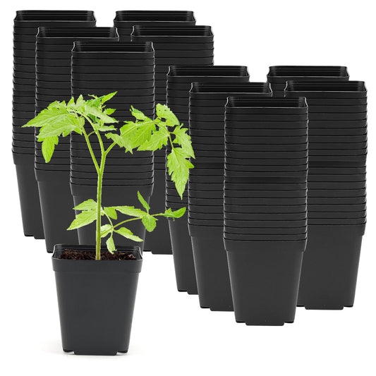 ZEONHAK 200 Pack 5.5cm Small Square Black Plant Pot, 2 Inch Mini Plastic Garden Flower Planter Pots for Succulents, Seed Nursery