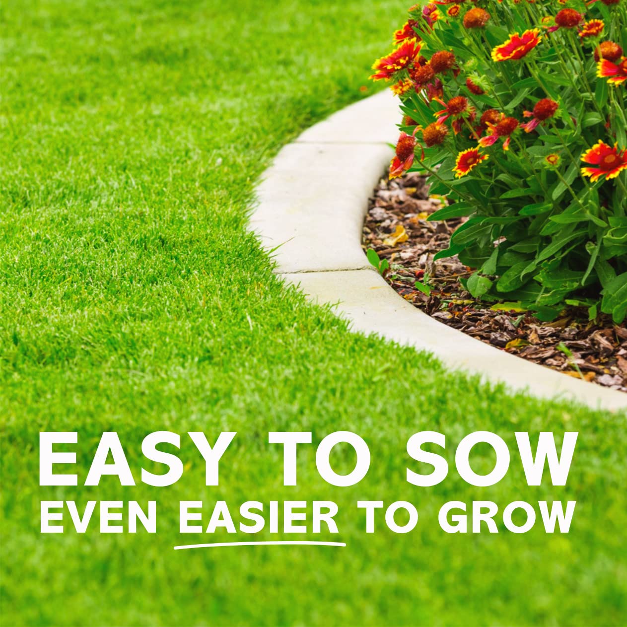 Fast Lawn Grass Seed, 1kg (up to 60sqm) Premium Quality Fast Growing Grass Seeds. Tailored for UK Climate. Hardwearing Lawn Seed Perfect for New Lawns, Overseeding & Patch Repair. DEFRA Approved