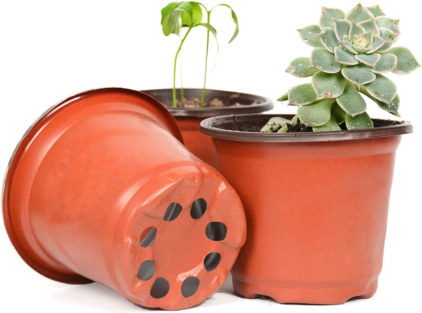 Cymax 100 Pack 10cm Plants Nursery Pots with Plant Lables,Reusable Plant Seeding Plastic Plant Flower Container Seed Starting Pots for Succulents,Herb,Vegetables,Seedlings, Transplanting