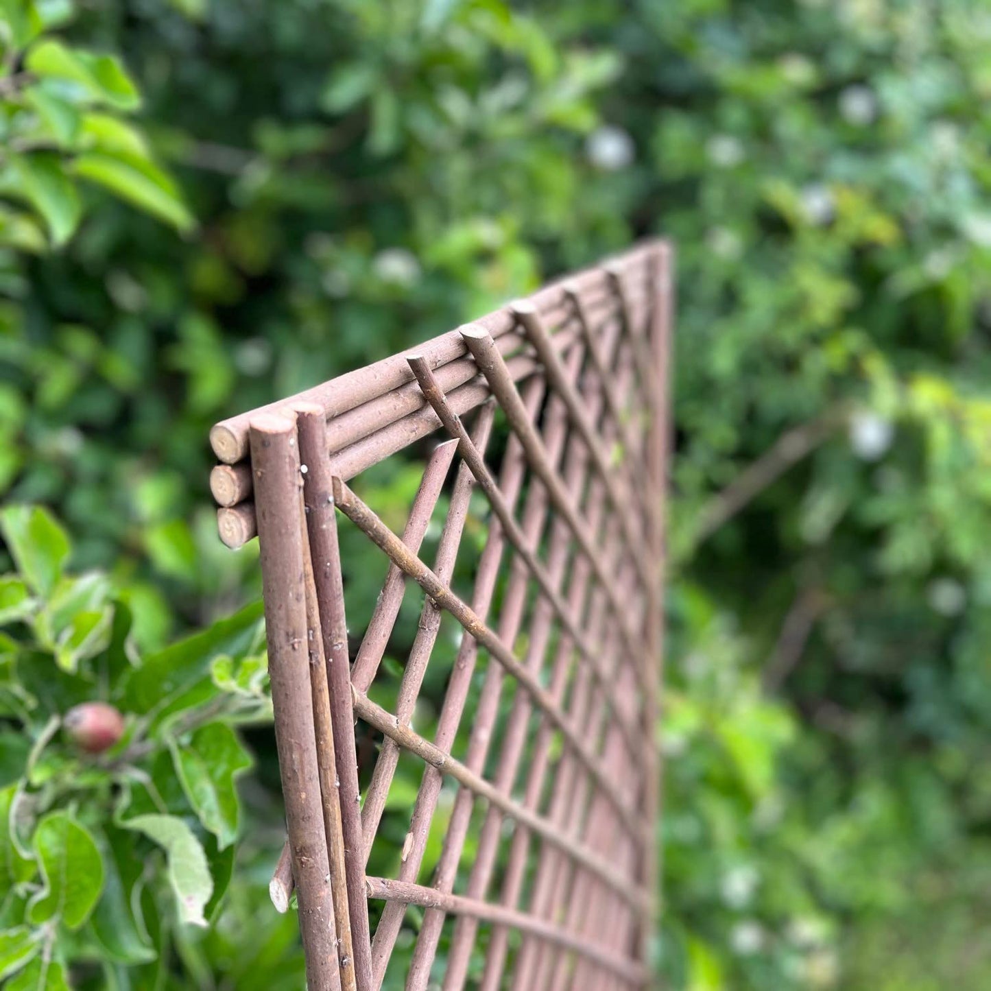 Selections Pack of 3 Willow Trellis Framed Panel (120 x 45 Centimeter)