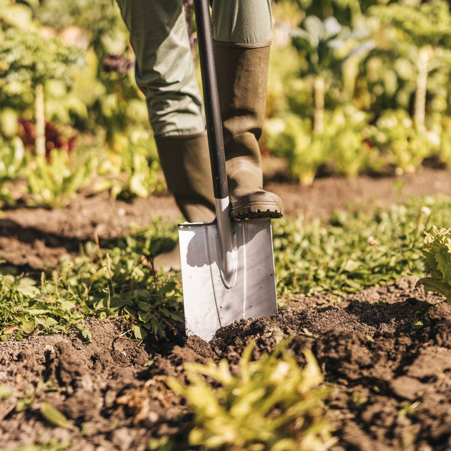 Fiskars Gardening Shovel for hard and rocky soils, Pointy, Length: 120 cm, Reinforced boron steel, Black/Orange, Xact, 1066729