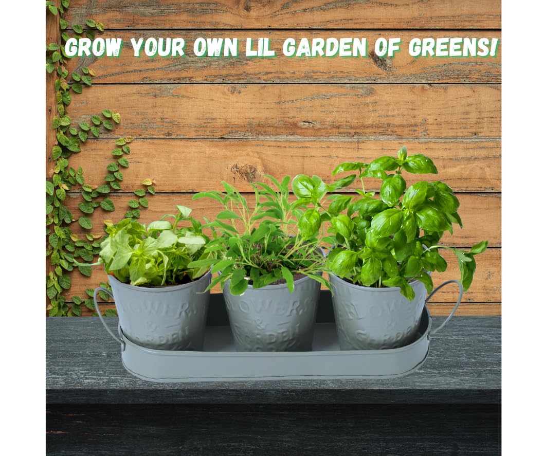 Trendi – Set of 3 Metal Plant Pots with Drip Tray | Embossed Indoor & Outdoor Plant Pots for Garden, Windowsill, Kitchen & Desk | Decorative Metal Flower Pots for Herbs & Plants | Light Green