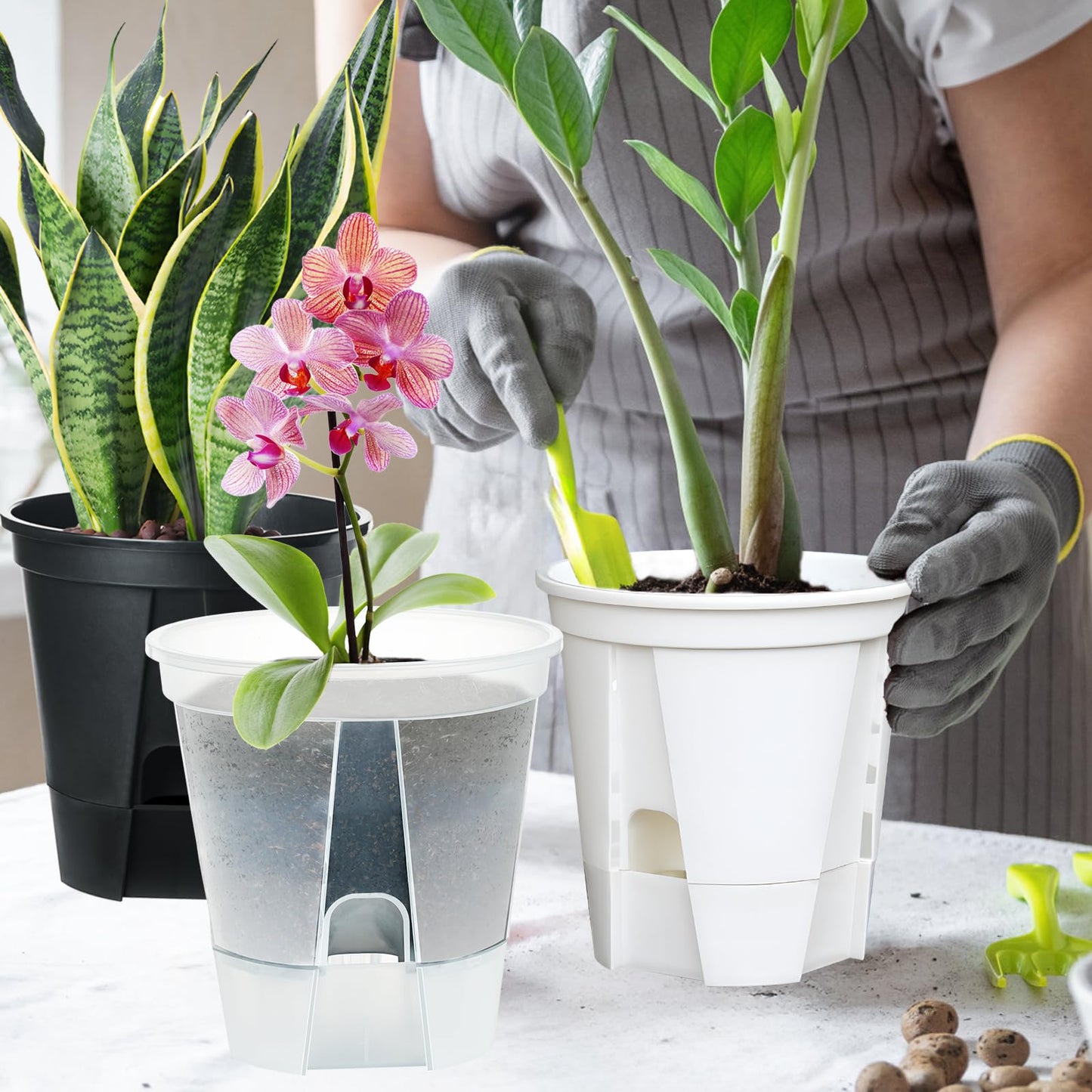 IWTTWY 3 Pack Self Watering Plant Pot, 15cm Plastic Flower Pots, Seed Seedling Pots for Indoor with Drainage Maintains, Herb Planter for Orchid, African Violet, Rose, Tulips (Clear)