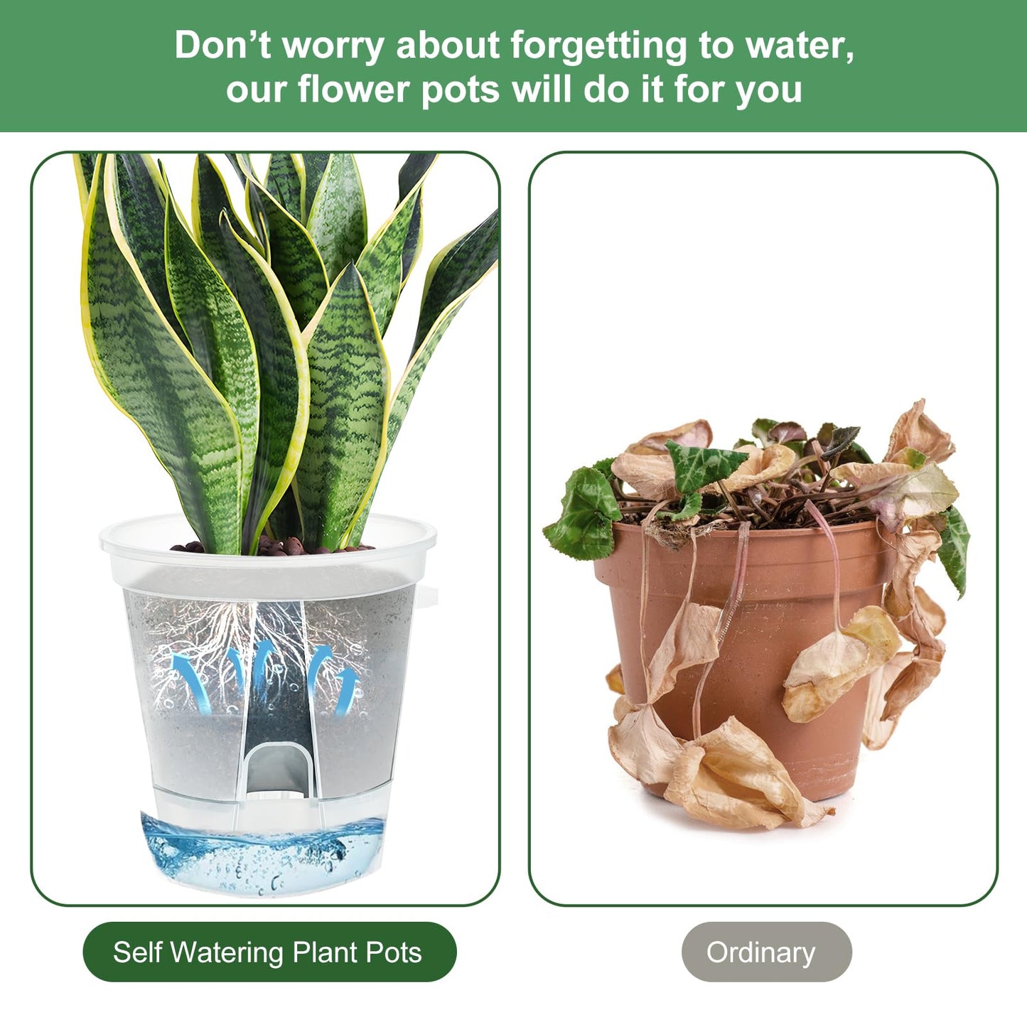 IWTTWY 3 Pack Self Watering Plant Pot, 15cm Plastic Flower Pots, Seed Seedling Pots for Indoor with Drainage Maintains, Herb Planter for Orchid, African Violet, Rose, Tulips (Clear)