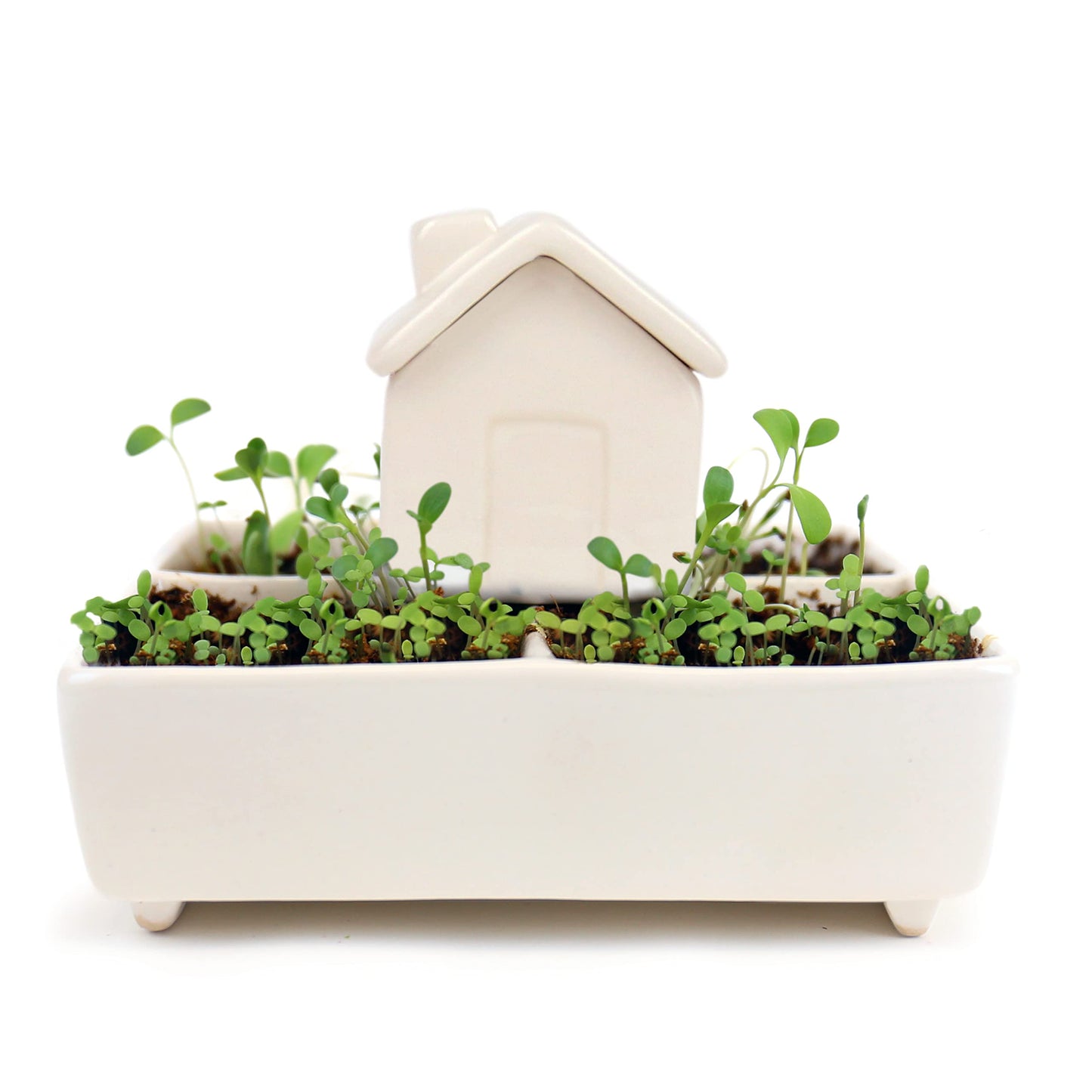 Gift Republic Self Watering House Herb Grow Kit Basil Rosemary Thyme Parsley Seeds Kitchen Garden Gift, White
