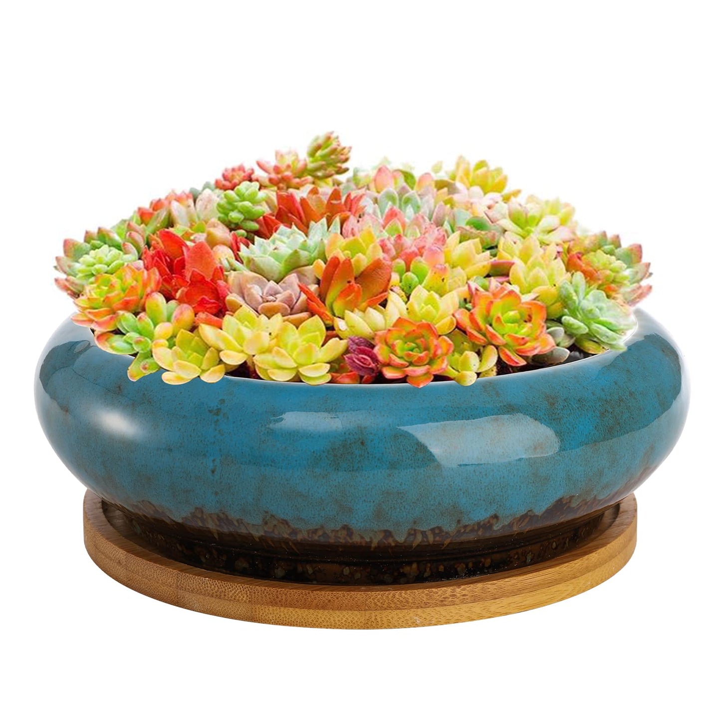 Peohud 18cm Round Ceramic Succulent Planters, Glazed Ceramic Bonsai Pots, Succulent Plant Pot with Drainage Hole, Flower Container Pots Garden Decorative Cactus Stand with Bamboo Tray, Blue