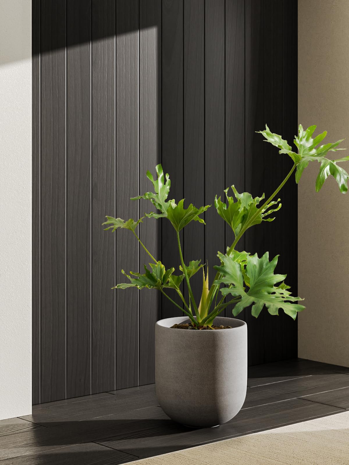 LE TAUCI 25 cm Plant Pot, Ceramic Pots for Plants with Drainage Holes and Rubber Plug, Plant Pots Indoor Outdoor for Home Garden Patio Office, Cylinder Flower Pot, Grey