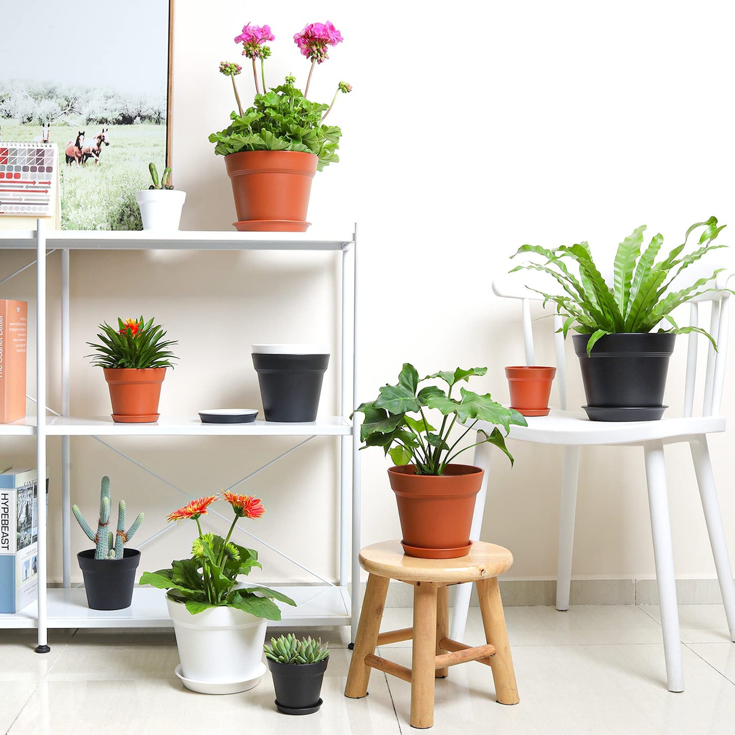 T4U 17.5CM Plastic Plant Pots 6-Pack, Large Flower Planter with Drainage Hole and Saucer, Classic Indoor Outdoor White Plant Pots for Orchid, Penoy, Rose, Snake Plant, Aloe, Tulips, Peace Lily