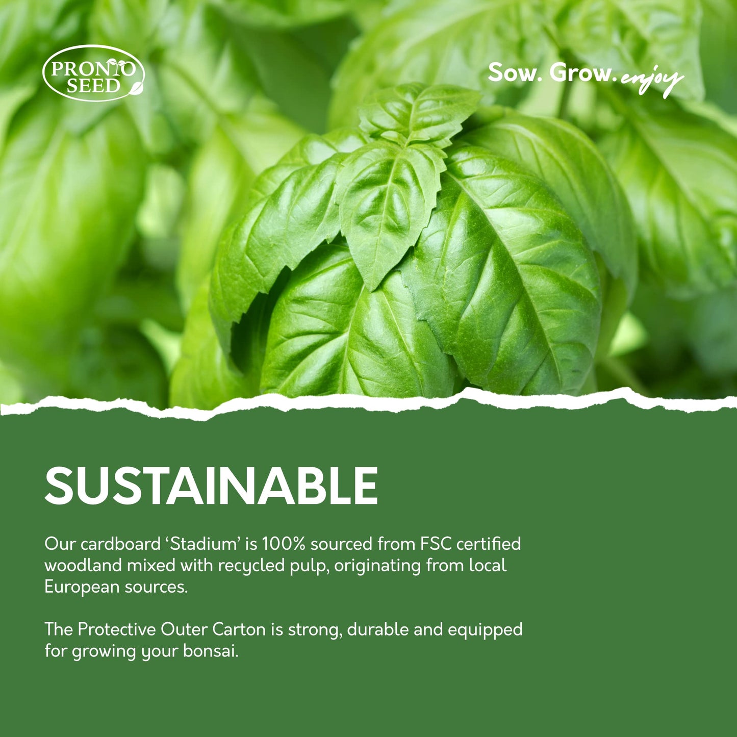 Pronto Seed Grow Your Own Herbs Kit with 5 Seeds Varieties - Indoor Growing Set - Mint, Chives, Parsley, Thyme, Basil Seeds - Gift for Women, Men - Beginner-Friendly (Herbs Kit)