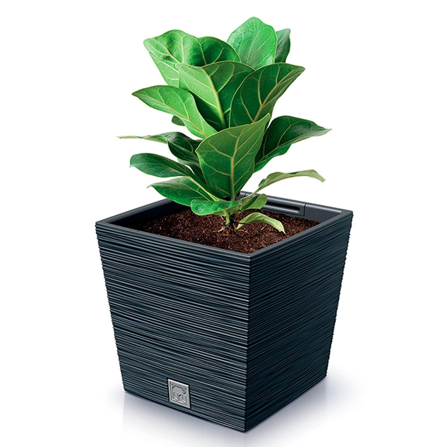 Prosperplast 2-in-1 Flower Pot with Inner Pot Planter Plastic Square Chisel Look Anthracite (24 cm x 24 cm x 23.5 cm)