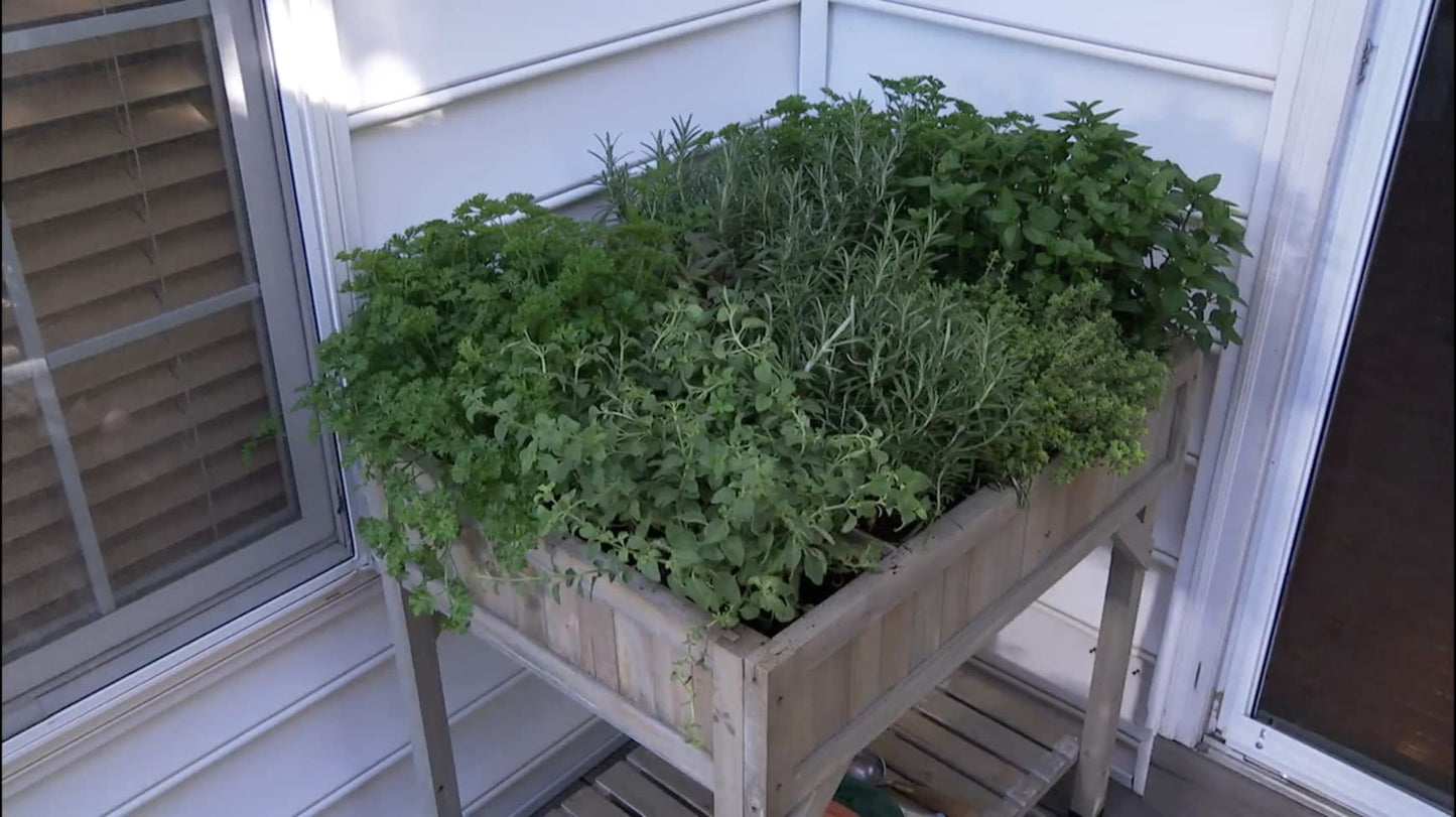 VegTrug 8 Pocket herb Planter Grey