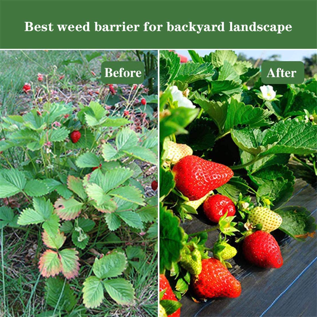 Weed Control Membrane Fabric Landscape Ground Barrier Cover, UV Stabilished Black Heavy Duty Garden Woven Covers 2MX5M