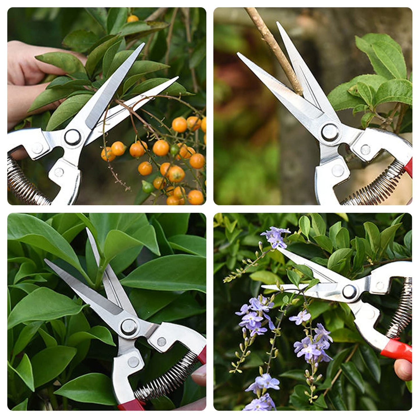 Professionall Pruning Scissors, Stainless Steel Garden Secateurs & Pruning Scissors Small Multi-Purpose Pruning Shears for Plants Flowers Fruits Vegetables(7.87inch)
