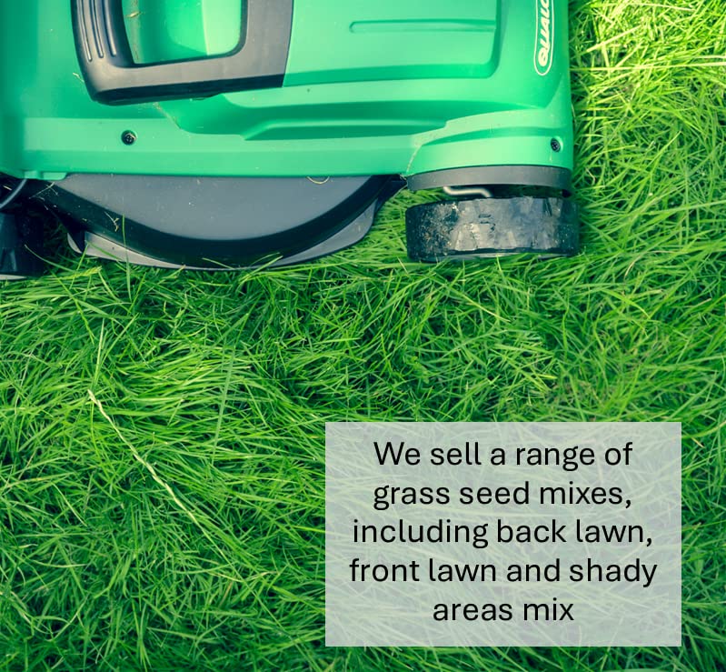 Back Lawn Grass Seed 5kg Hard Wearing (Covers 100 Square metres)