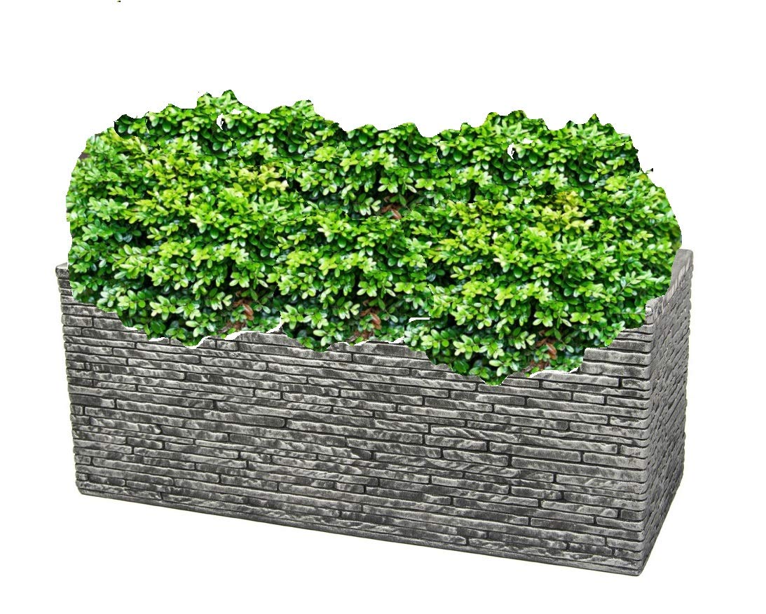 Strata Slate Effect Trough 60cm Grey Outdoor Plant Pot 25 cm (W) x 60 cm (L) x 25.5 cm (H) Tray
