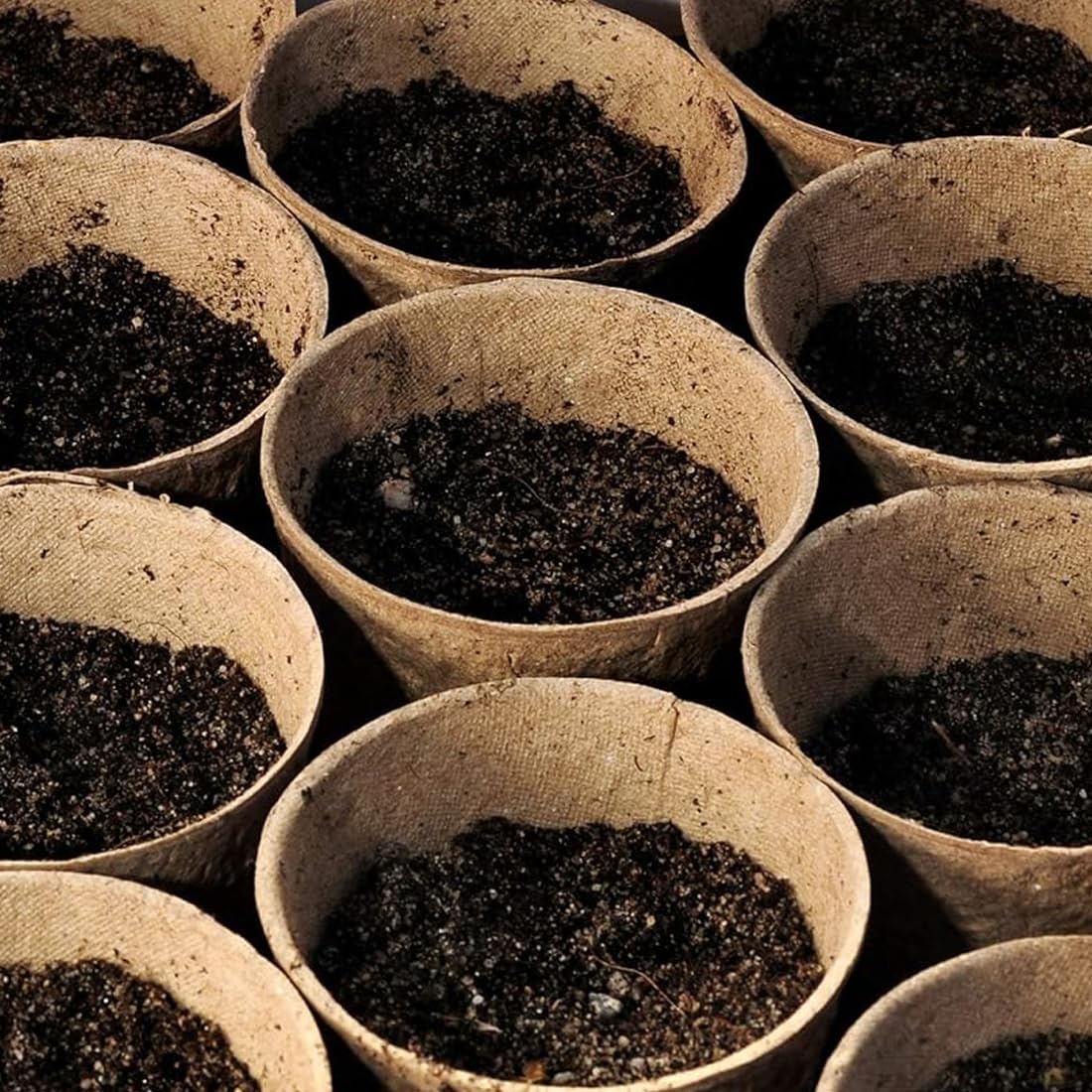 XIZAO Round Fibre Seed Pots, Biodegradable Plant Pots Germination Seedling Pots for Plant Cultivation Compostable Containers 50 Pcs