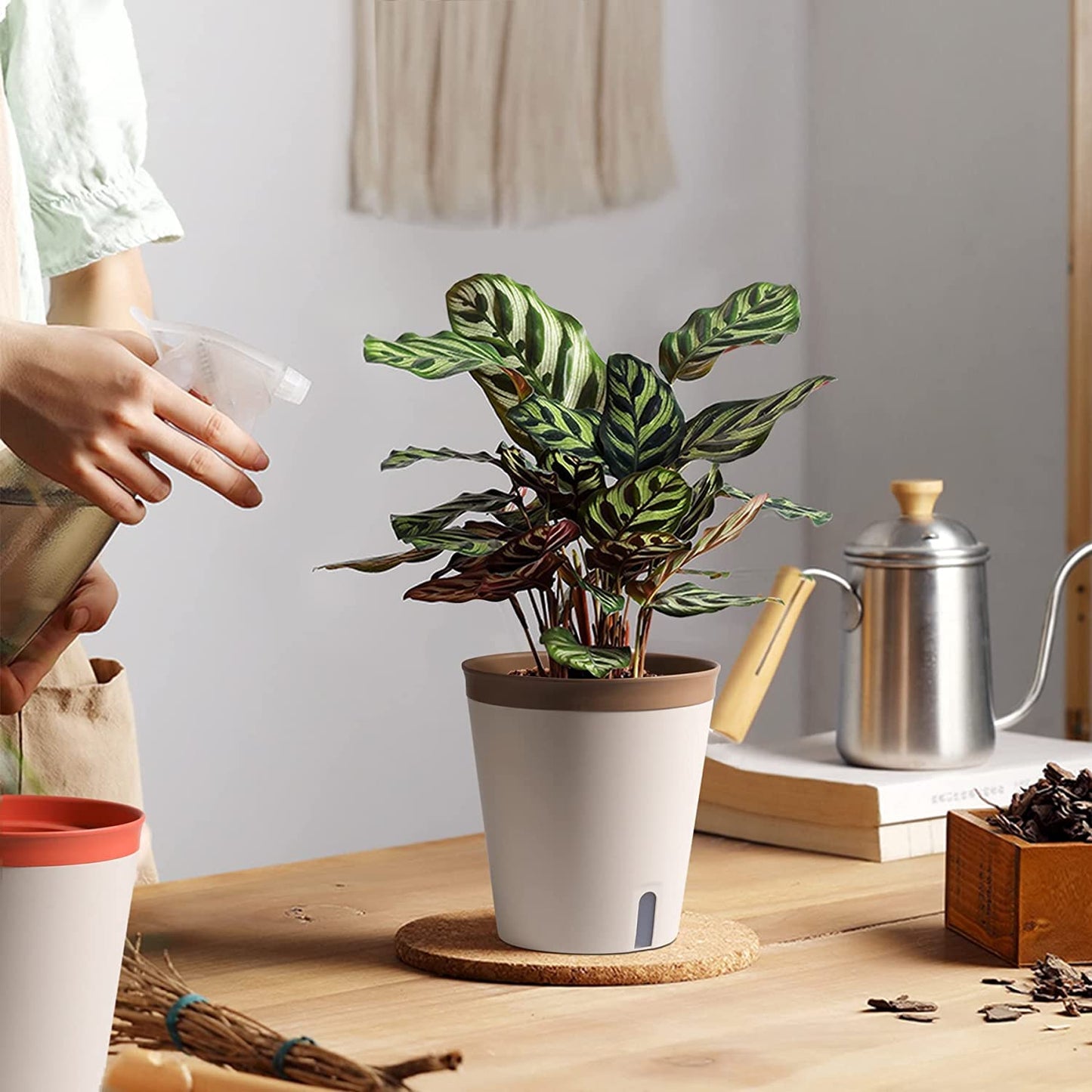 LATERN 3Pcs Self Watering Planter Pot, 12.5CM Round Plastic Plant Pot Garden Flower Bonsai Pots for Aloe Herb Orchid Succulent Plants - with Water Level Window and Drainage Hole Hidden Tray