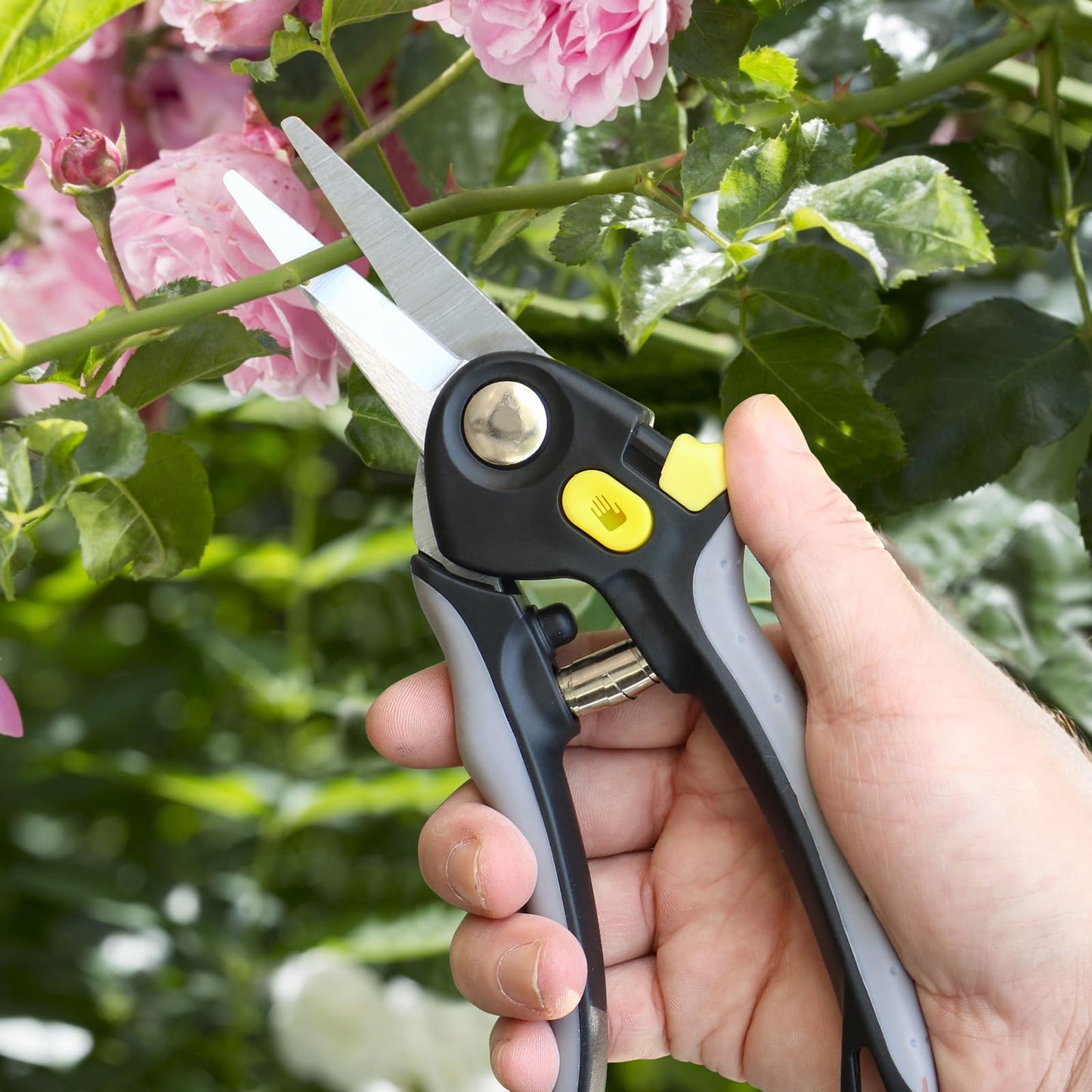 Jardineer Garden Secateurs Set with SK5 Blades, Bypass Hand Pruner and Anvil Secateur, Herb Scissors, Pruning Shears Set for Branches Flowers