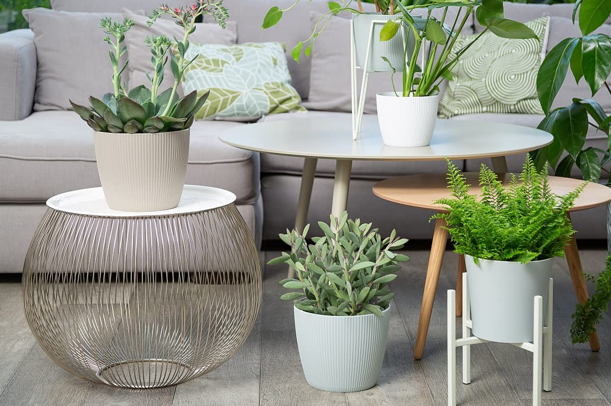 Home Garden Ornaments Plant Pots Indoor 15.5cm Diameter – Round and Plastic Plant Pot of Light Grey Colour – Striped Flower Pot – Decorative Flower Pots Outside (Ø15.5cm, Light Grey)