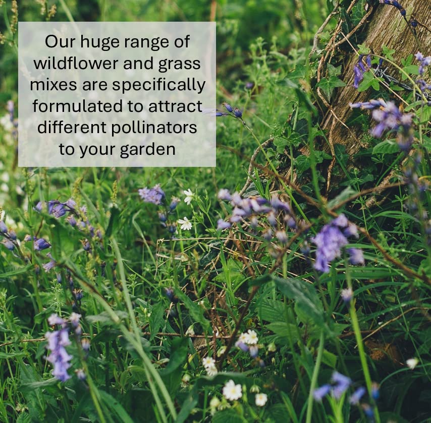 Back Lawn Grass Seed 5kg Hard Wearing (Covers 100 Square metres)