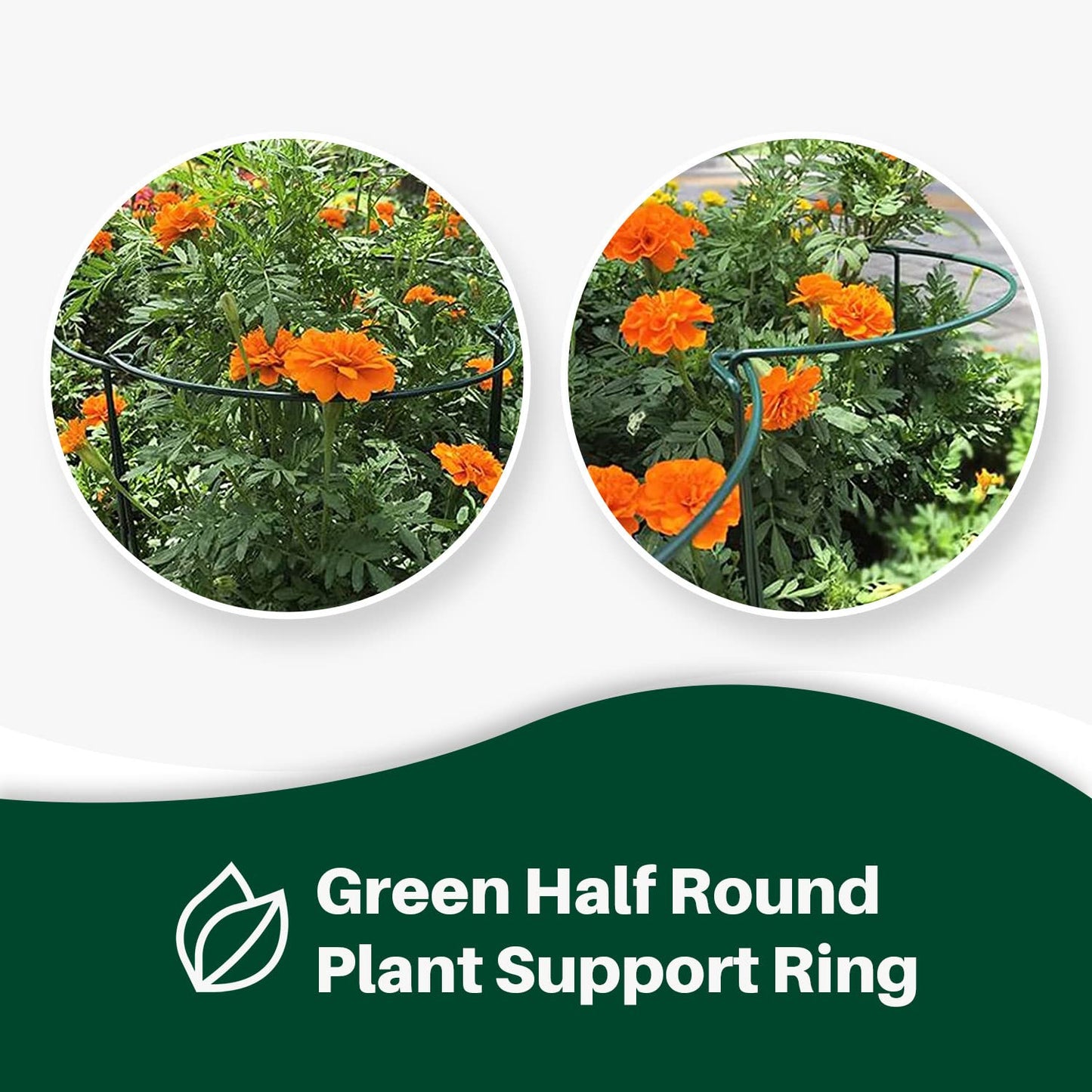 OLDELITE 6pcs Plant Supports for Outdoor Plants, 20 x 35 cm Plant Stakes Metal Half Round Plant Supports Ring Cage, Garden Plant Supports for Rose, Flowers, Vine and Tomato Plants