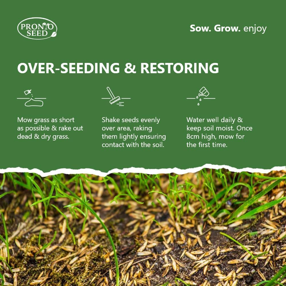Pronto Seed Premium Grass Seed 1.4 kg - Fast Growing, Hard-Wearing - Covers 84m² for Lawns & Overseeding - DEFRA Approved & Tailored for UK Climate (1.4kg)