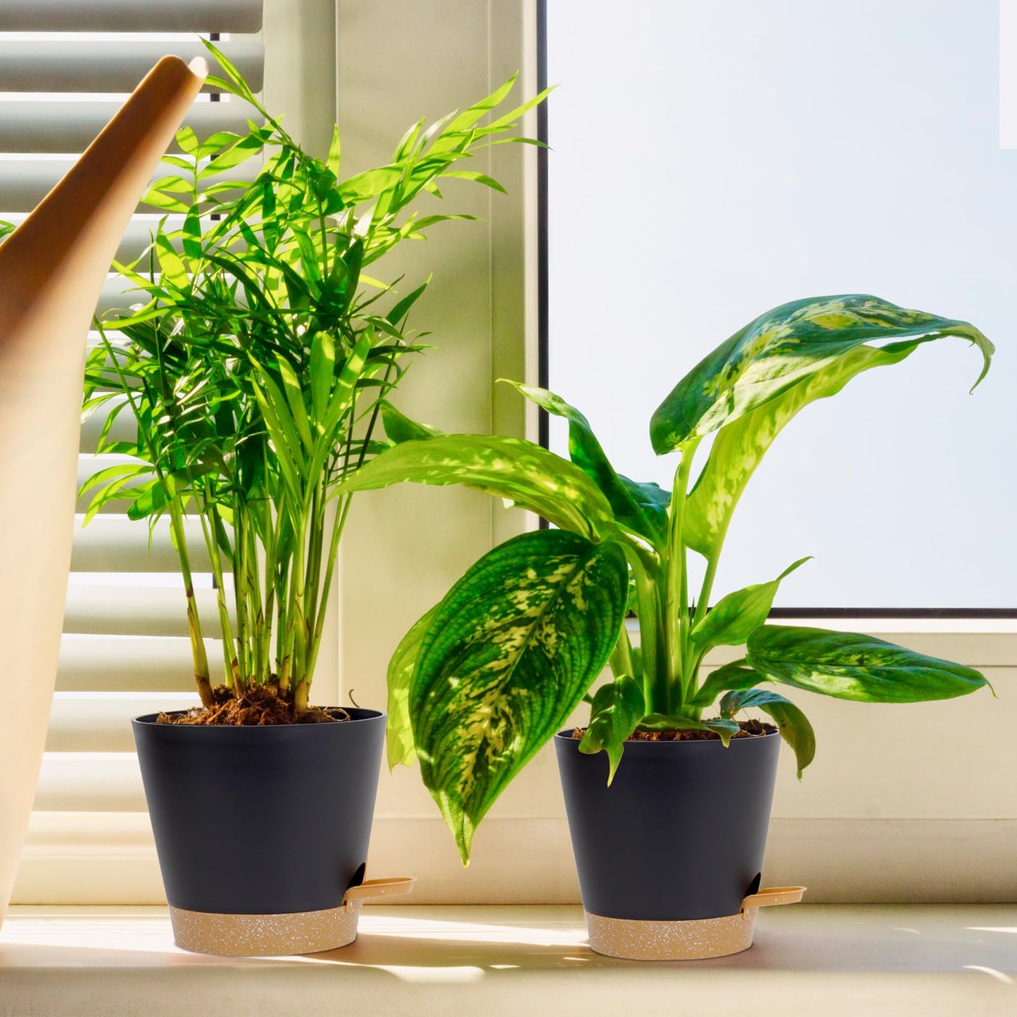 Homeuouz 6 Pack Plastic Plant Pots,Self Watering Plant Pots Indoor,20/17.5/16.5/15/14/12.5CM,Medium Flower Pots with Drainage Holes Saucer and Reservoir for All House Plants(Black)