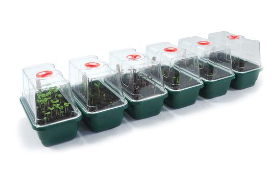 Britten & James Professional Mini Windowsill Propagators [Pack of 6]