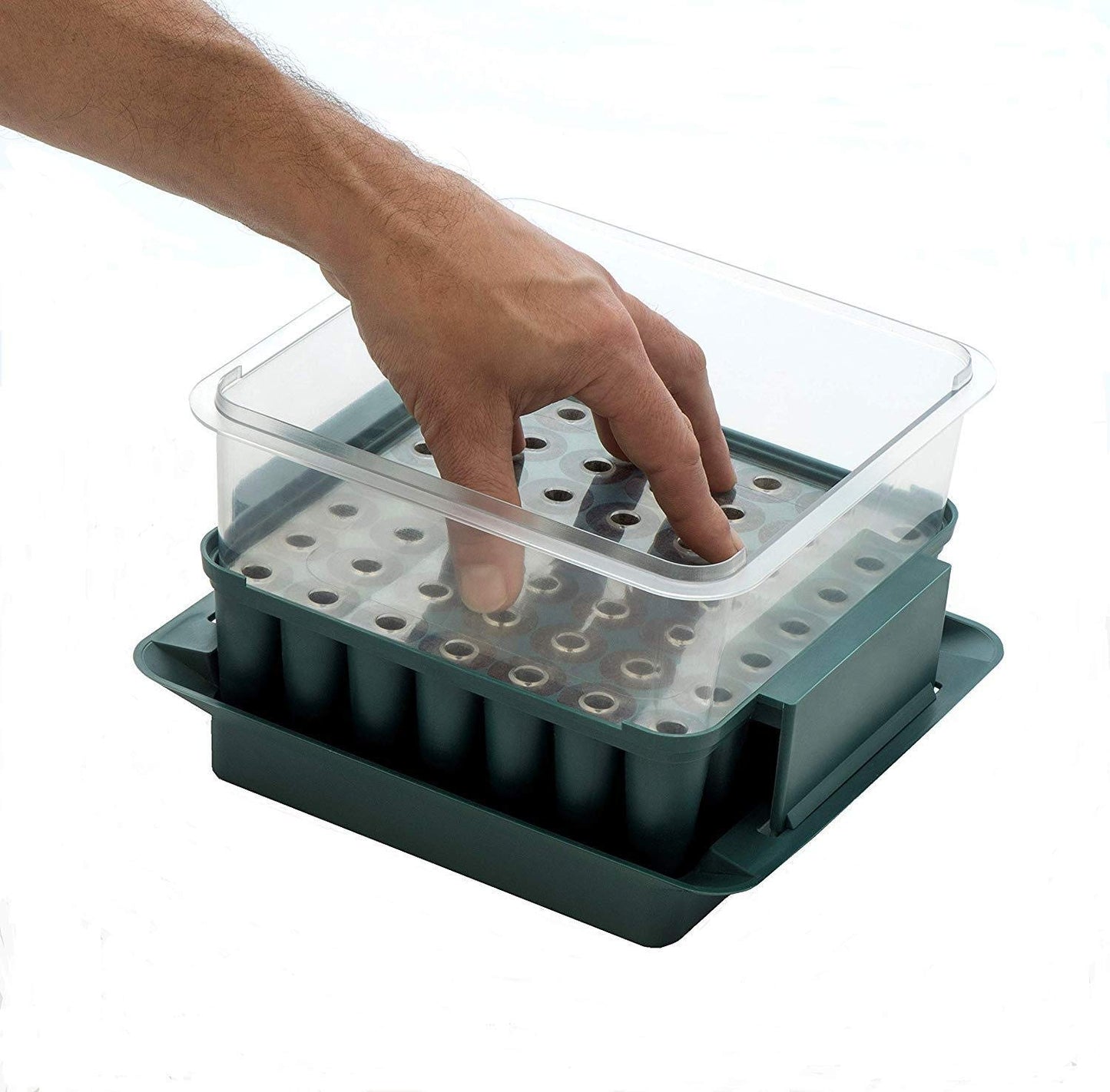 Agralan Plug Plant Trainer | Plant Seed Propagator | Grow Plug Plants from Seed | Self Watering Reservoir Windowsill | 49 Cell Propagator |