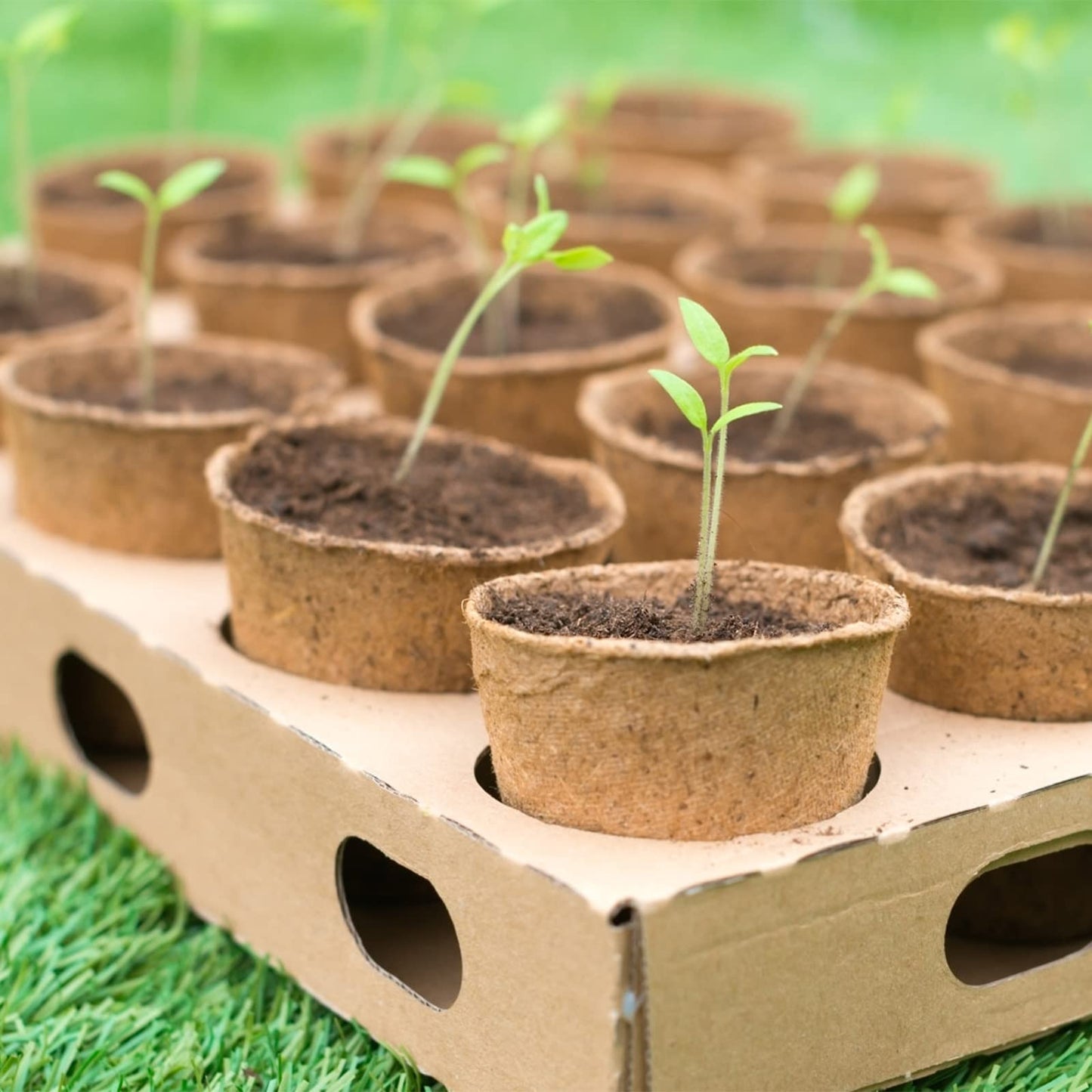 KINGLAKE 50 Pcs 6cm Small Fibre Seed Pots Biodegradable Plant Pots Round Seedling Pots with 100 Plant Labels for Growing Vegetables, Fruit, Herb, Flower