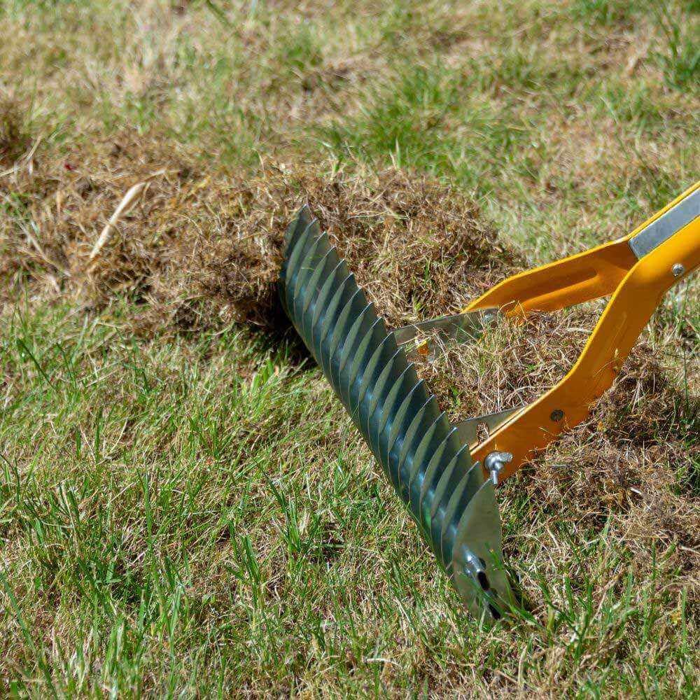 Lawn Thatch Rake with 19 Steel Tines, Manual Grass Scarifier with Adjustable Handle, Anti-Slip Grip, Stainless Steel