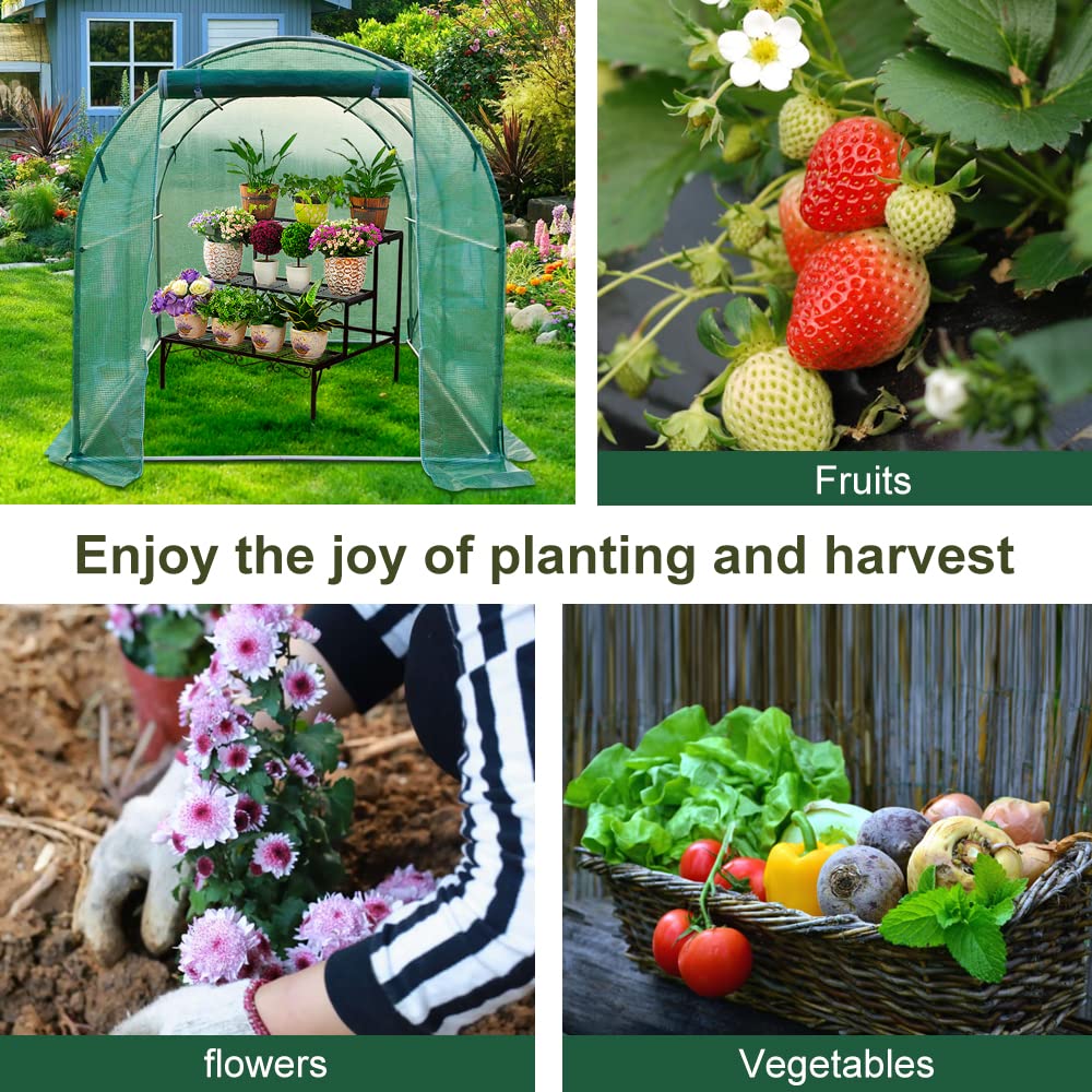 Walk In Polytunnel Outdoor Garden Greenhouse with Roll Up Door Steel Frame (2x2x2m)