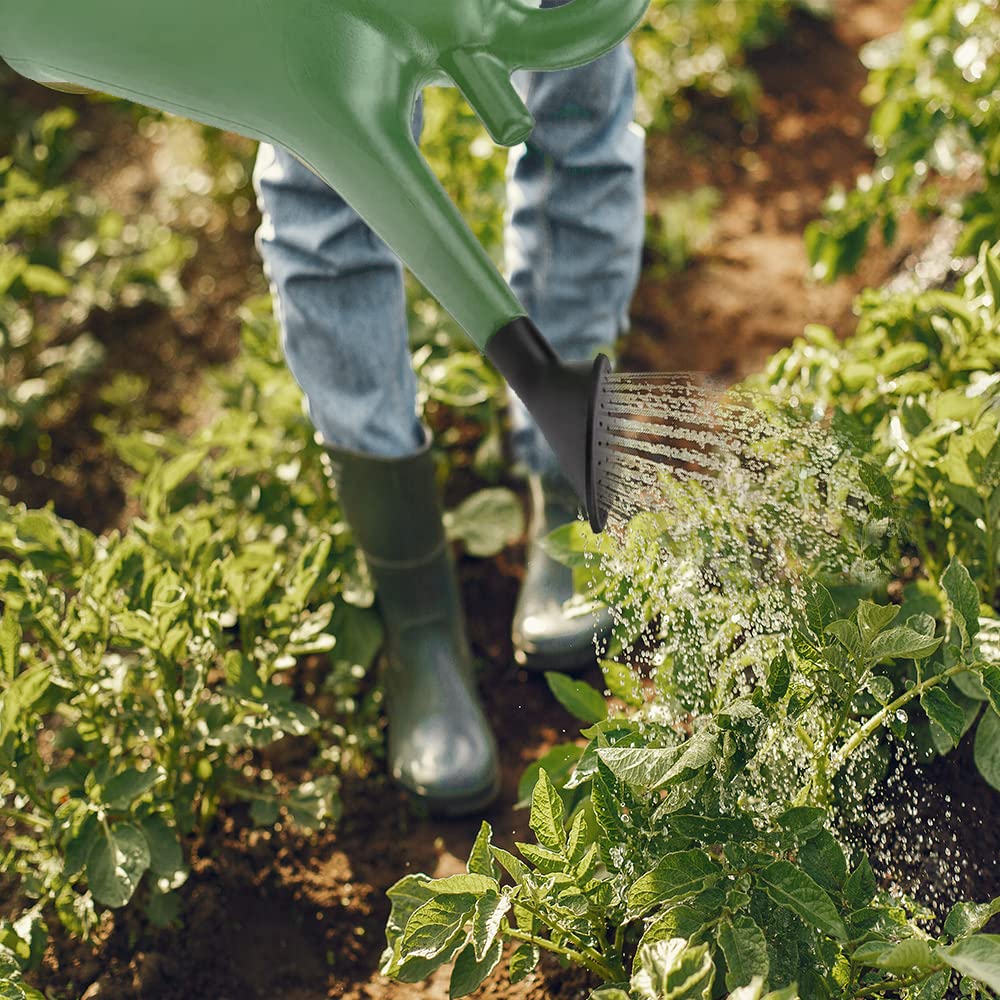 ANGIX 10L Large Watering Can With Detachable Rose Head Sprinkler | Lightweight & Durable Plastic Can Ideal For Garden Plants In Both Indoor And Outdoor - Green
