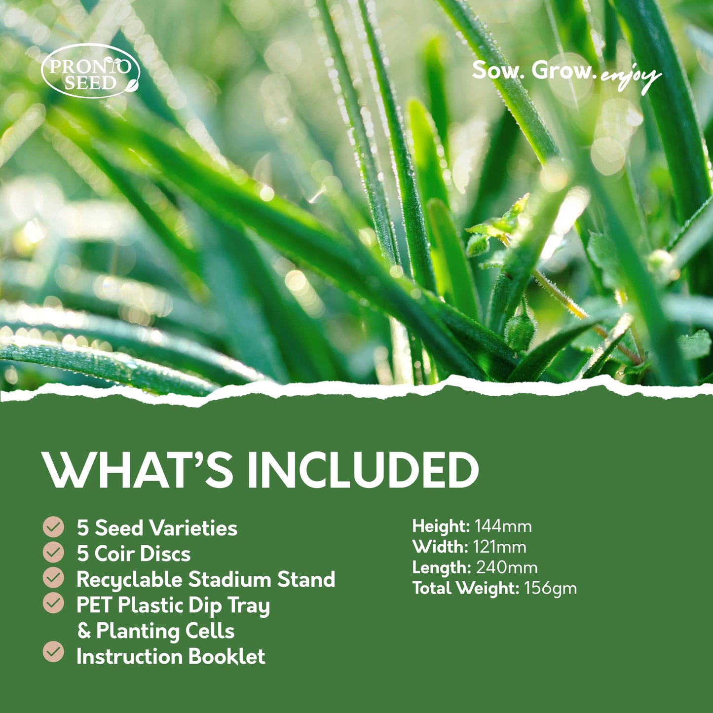 Pronto Seed Grow Your Own Herbs Kit with 5 Seeds Varieties - Indoor Growing Set - Mint, Chives, Parsley, Thyme, Basil Seeds - Gift for Women, Men - Beginner-Friendly (Herbs Kit)