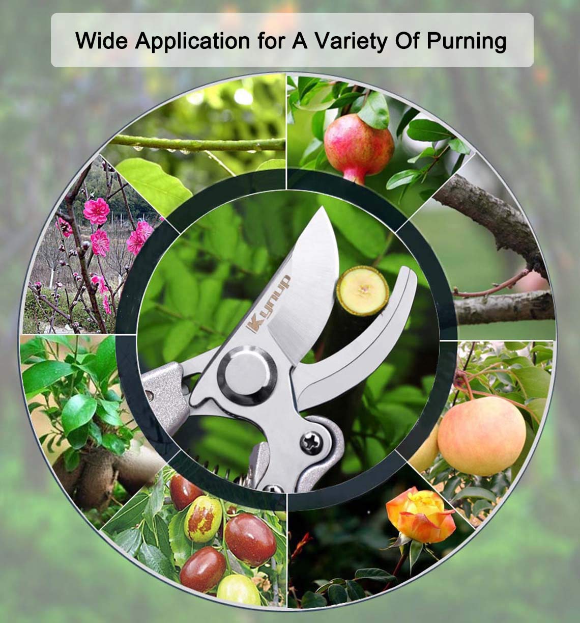 Kynup Secateurs Pruning Scissors, Gardening Pruning Shears, Garden Scissors, Hedge & Garden Shears, Clippers for Plants, Gardening, Trimming, Garden Tool(Black)