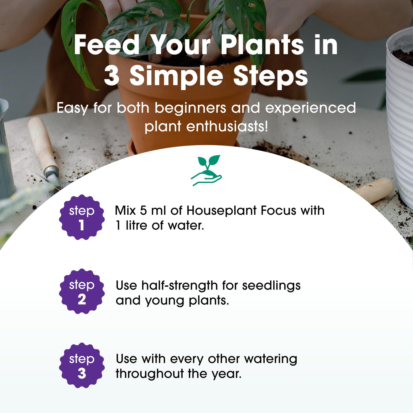 Houseplant Focus Concentrated Liquid Fertiliser, 1 Litre - Growth Technology Fertiliser for Indoor Plants - Professional Grade House Plant Food Concentrate with Kelp Seaweed Extract - Makes 200L