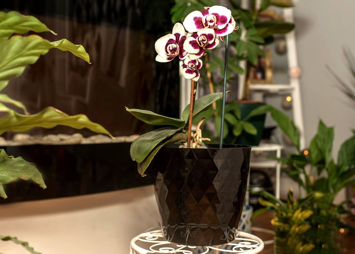 Home Garden Ornaments Black Plant Pots Indoor 12cm Diameter – Round Plant Pot with Glossy Crystal Surface – Decorative Flower Pot – Plastic Flower Pots Outside (Ø12cm, Black Crystal)