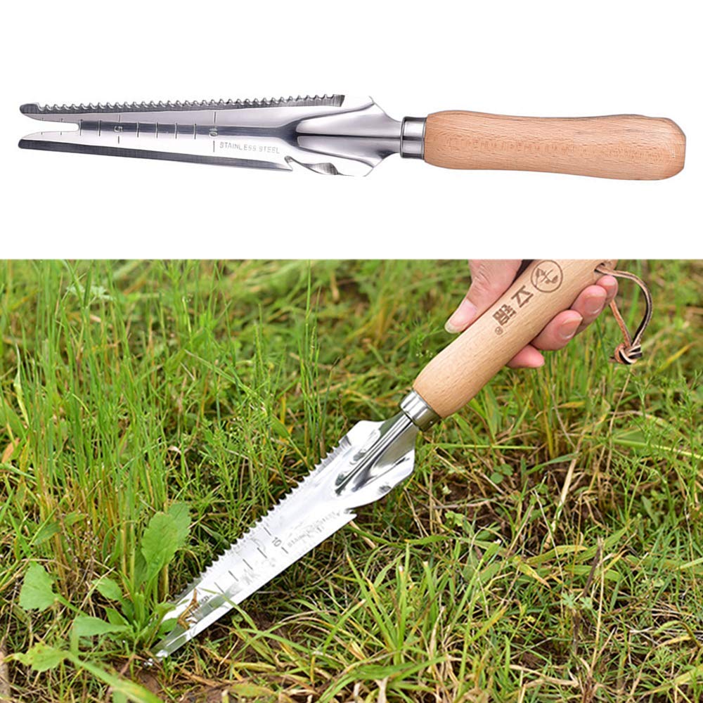 jiaguan Wooden handle Manual Weeder Tool Weed Puller Garden Weeder Shovel for Garden Digging Transplanting Weeding Grass, Stainless Steel Weeder with Measure weeding tools for garden