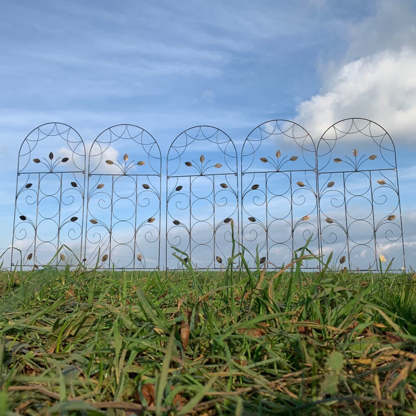 Selections Pack of 5 x Leaf Design Metal Garden Trellis (120 x 50 Centimeter)