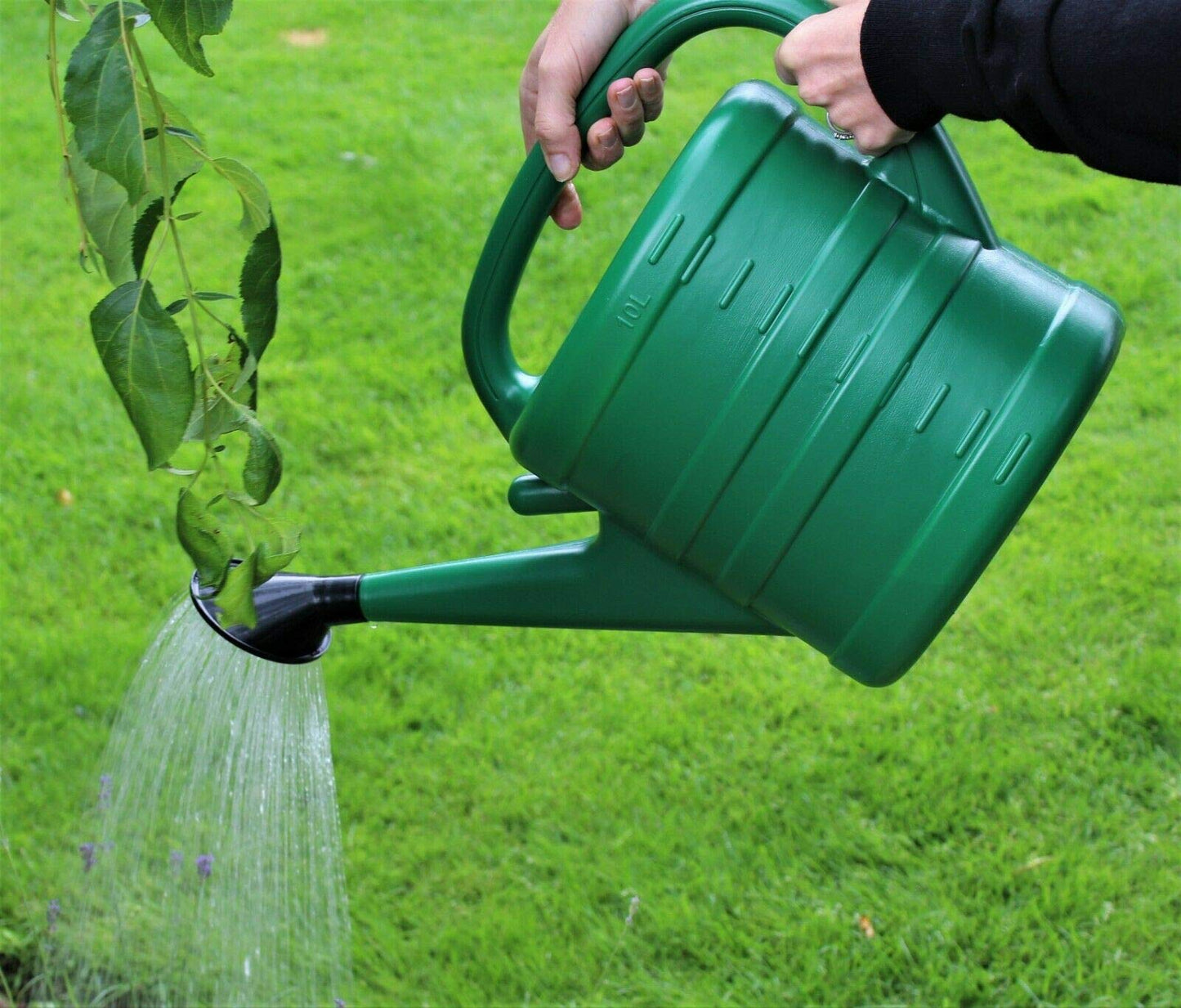 Garden Watering Can Green With Sprinkler Head Rose Water Detachable Nozzle 10 Litre For Gardening, Plants, Flowers, Hanging Plants