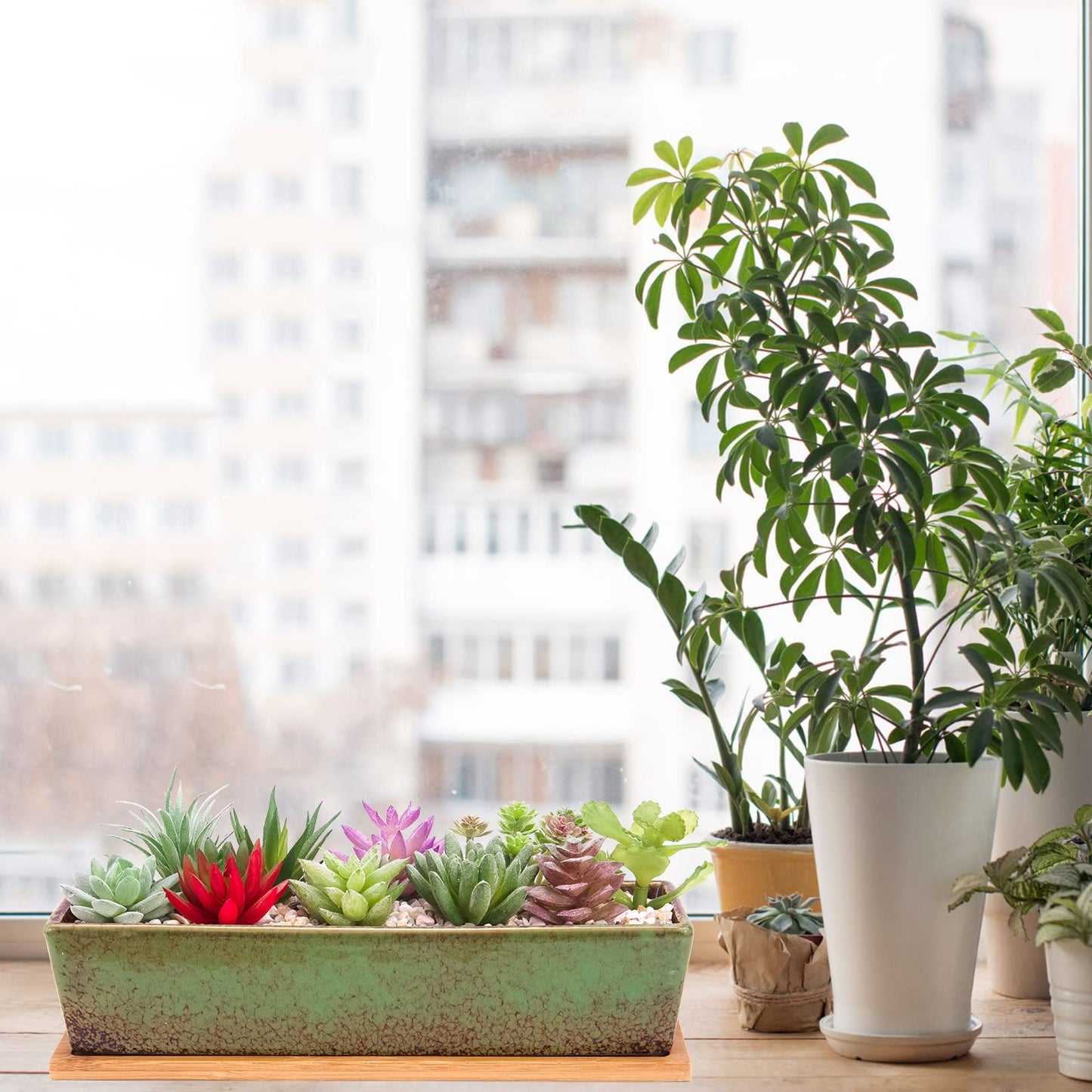 ARTKETTY 30cm Ceramic Succulent Plant Pots, Modern Long Rectangle Flower Plant Containers with Tray, Shallow Cactus Bonsai Window Box with Drainage for Indoor/Outdoor Home Decor(Green)