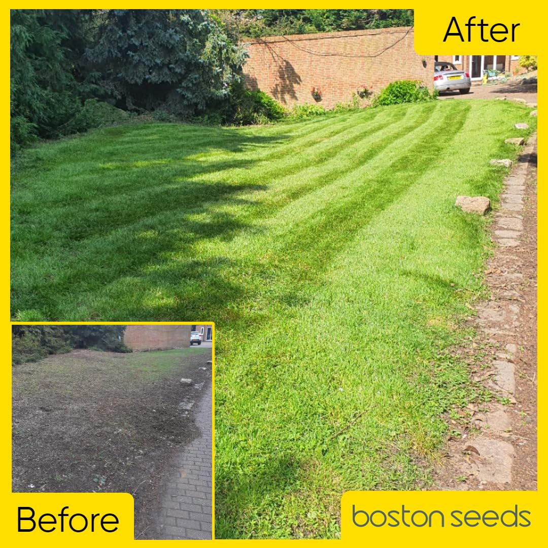 Boston Seeds Fast Growing Grass Seed - Hard Wearing Grass Seeds in Various Weights. Rapid Germination Seeds for Lawns & Landscapes (Eco - 20Kilogram)