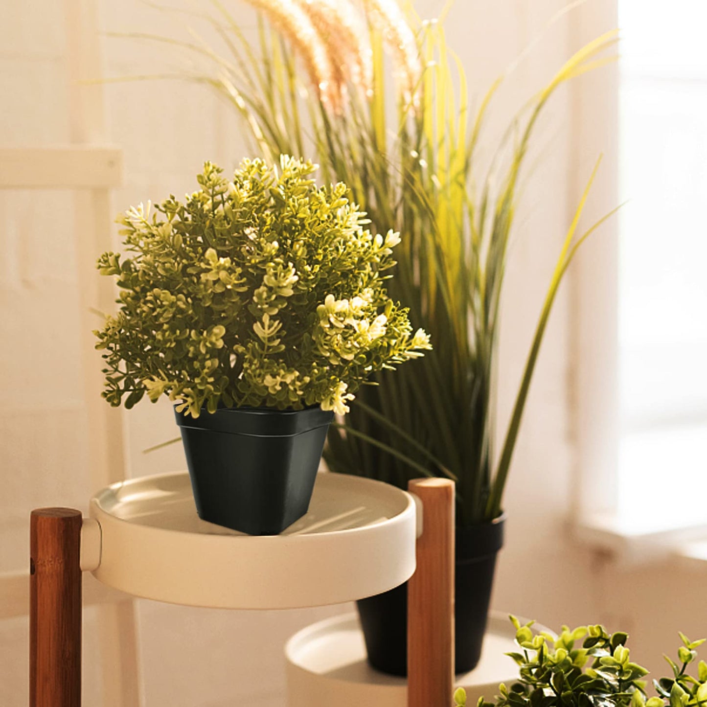 WAIZHIUA 50Pcs Plant Flower Pots 10cm Plastic Square Plant Nursery Pots Small Flower Plant Container for Succulent Fruit Vegetable Seedlings Transplanting