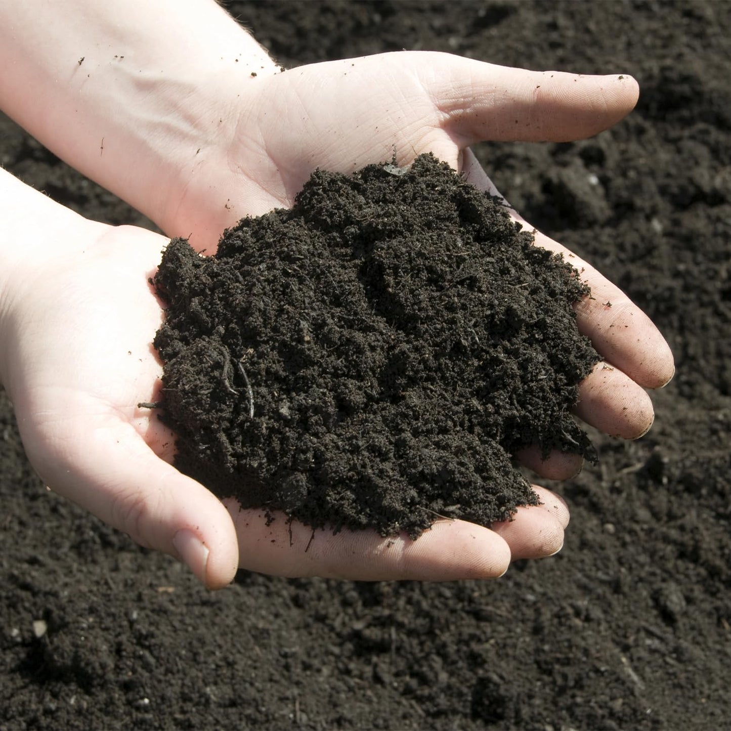 Warma 2 x Bulk Dumpy Bags Premium Top Soil - Garden Bed Lawn Landscaping & Improving Existing Soil Quality - For Fruit Growing Vegetable Patches Rose Bushes Gardening Planters & Potting Plants