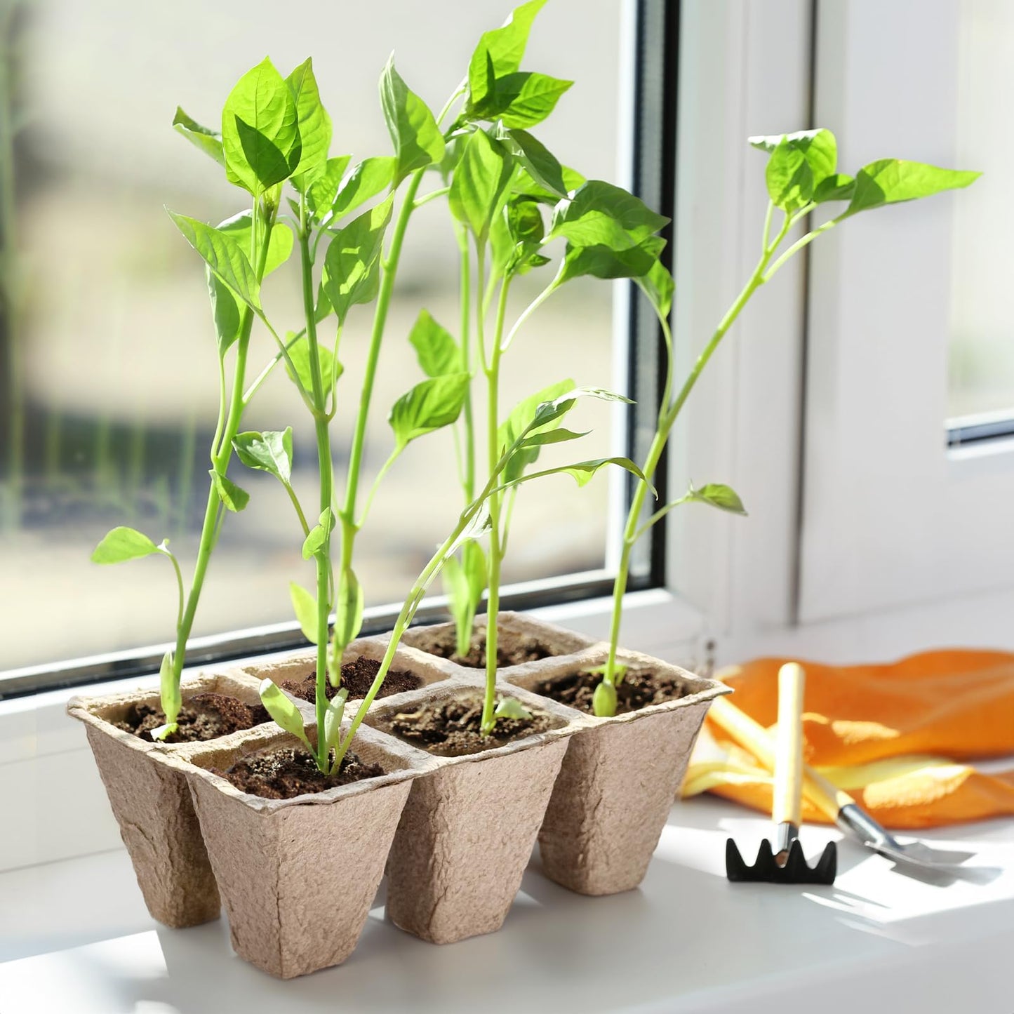 GOTVUGE 10 Packs Seedling Starter Trays 120 Cells, Peat-Free Biodegradable Seed Germination Trays Plant Starter Pots for Seedlings