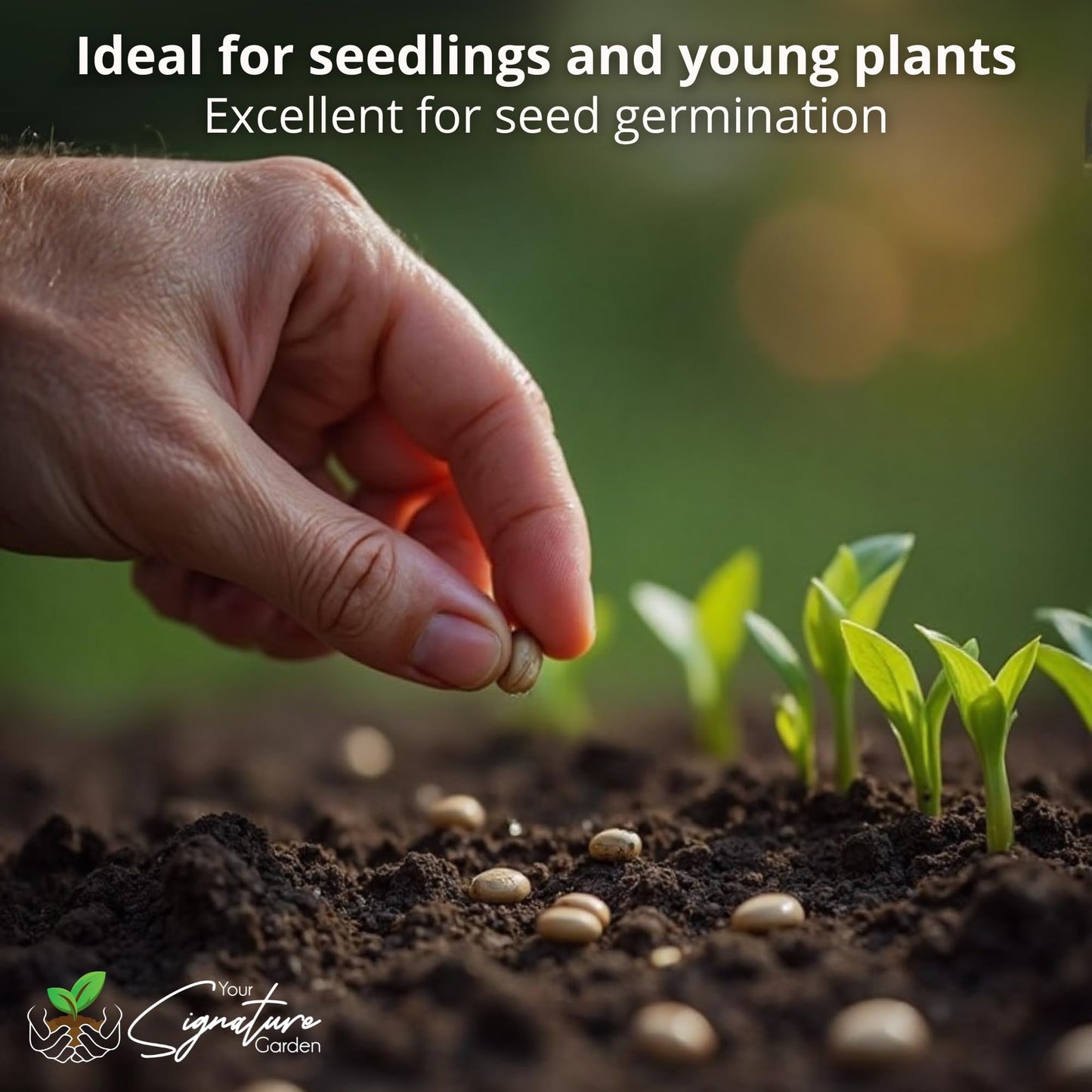 Laeto Top Soil 35L x 2 (70L) – Top Soil for Garden & Landscaping Premium Garden Soil for Plants, Lawns & Flowers – Rich Organic Soil for Healthy Growth