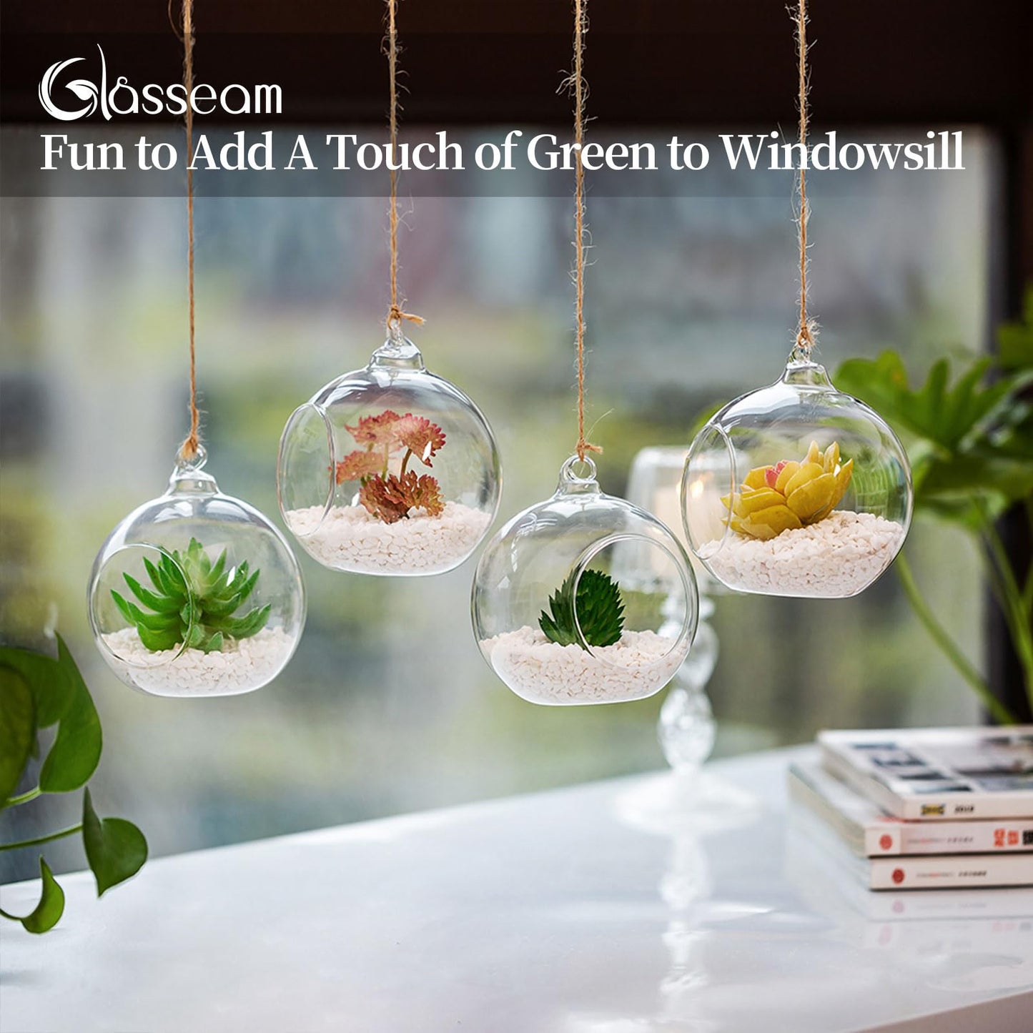 10cm Hanging Glass Globes Terrarium Orbs 6 Pcs Glass Planter Big Opening Air Fern Plants Vase Hanger 4 Inches for Home Party Wedding Garden DIY Design